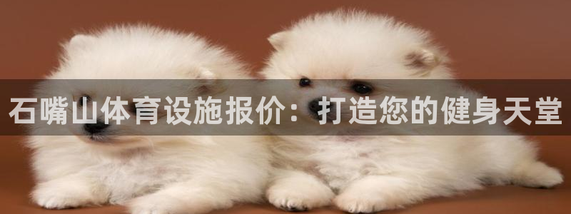 意昂体育3平台是正规平台吗知乎：石嘴山体育设施报价：打造您的