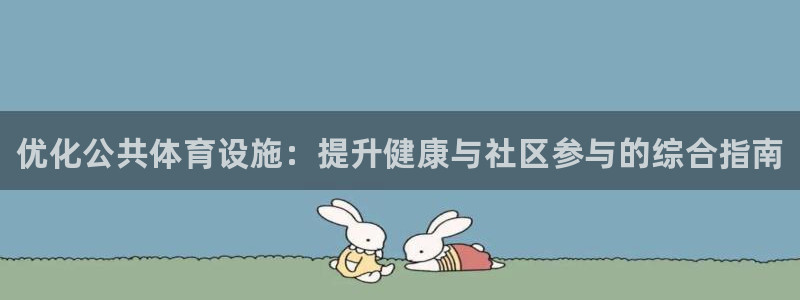 意昂体育3娱乐：优化公共体育设施：提升健康与社区参与的综合指