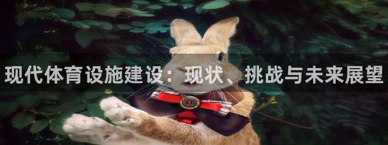 意昂体育3软件：现代体育设施建设：现状、挑战与未来展望
