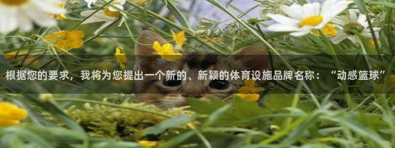 意昂3官网：根据您的要求，我将为您提出一个新的、新颖