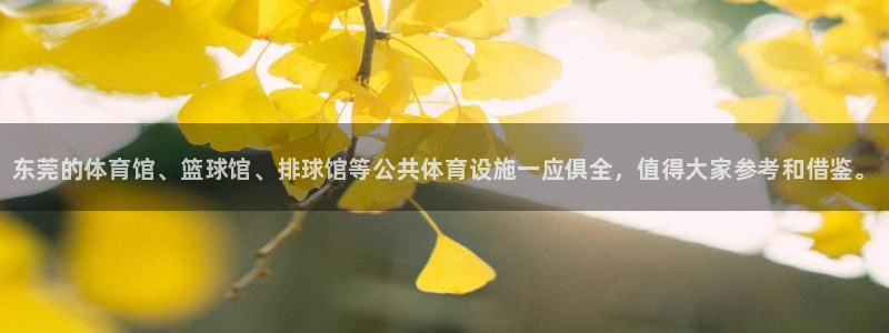 意昂3娱乐下载：东莞的体育馆、篮球馆、排球馆等公共体