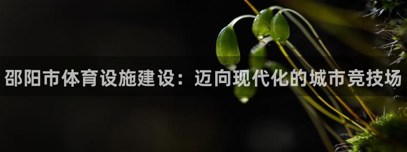 海南意昂体育3发展怎么样：邵阳市体育设施建设：迈向现