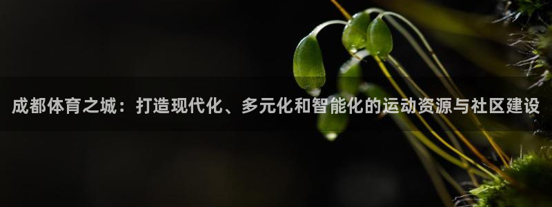 意昂3五金厂：成都体育之城：打造现代化、多元化和智能