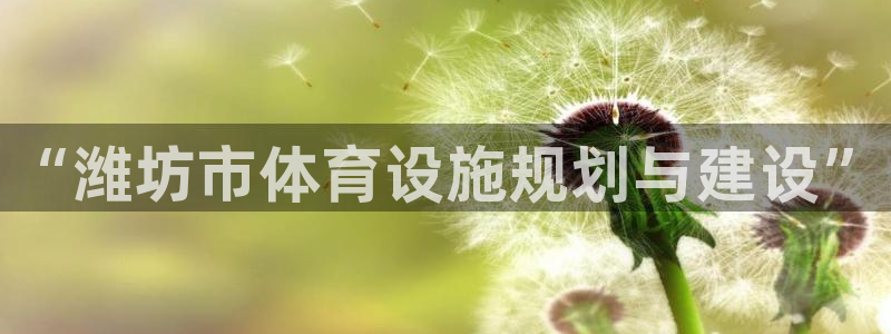 意昂体育3招商电话地址查询：“潍坊市体育设施规划与建