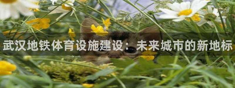 意昂3集团官网首页：武汉地铁体育设施建设：未来城市的新地标