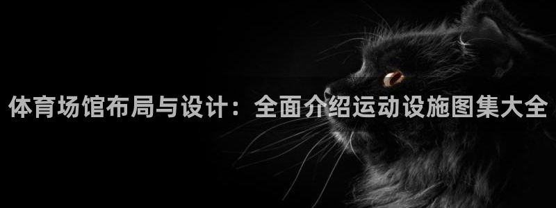 意昂3新能源：体育场馆布局与设计：全面介绍运动设施图集大全