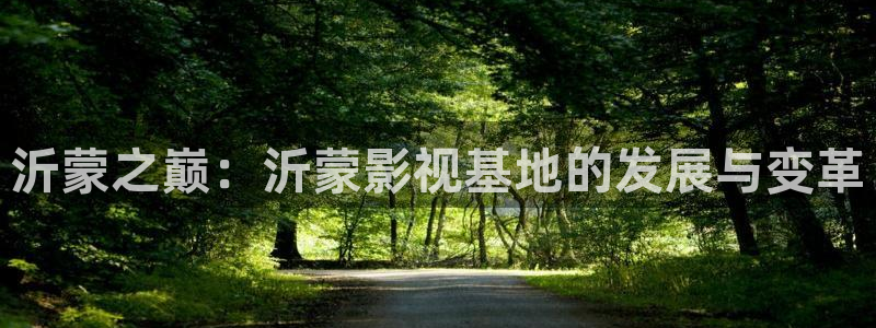 五五影视影院：沂蒙之巅：沂蒙影视基地的发展与变革