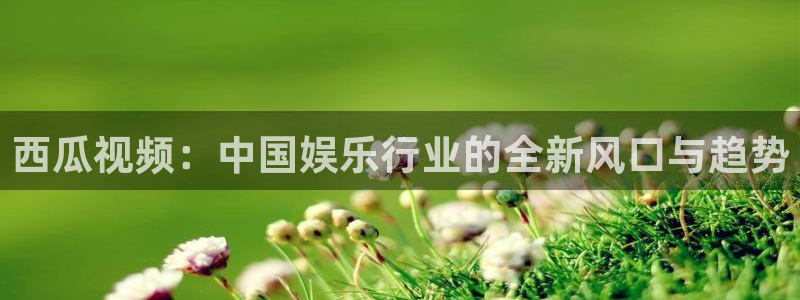 五五五电影：西瓜视频：中国娱乐行业的全新风口与趋势