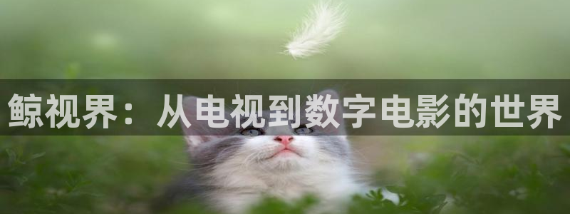 五五五电影免费观看策驰影院：鲸视界：从电视到数字电影的世界