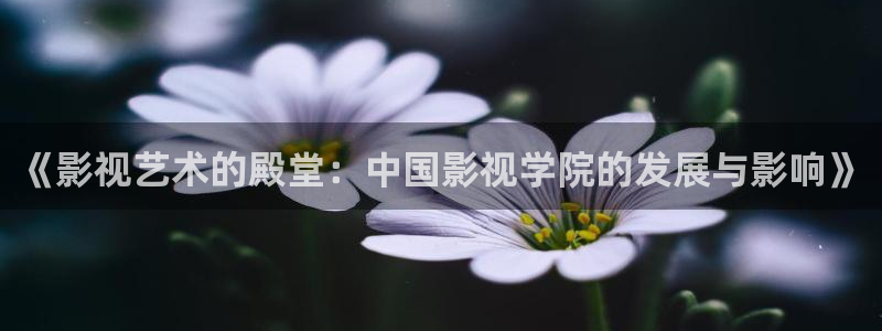 五五影院：《影视艺术的殿堂：中国影视学院的发展与影响》