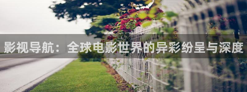 五五影视网：影视导航：全球电影世界的异彩纷呈与深度