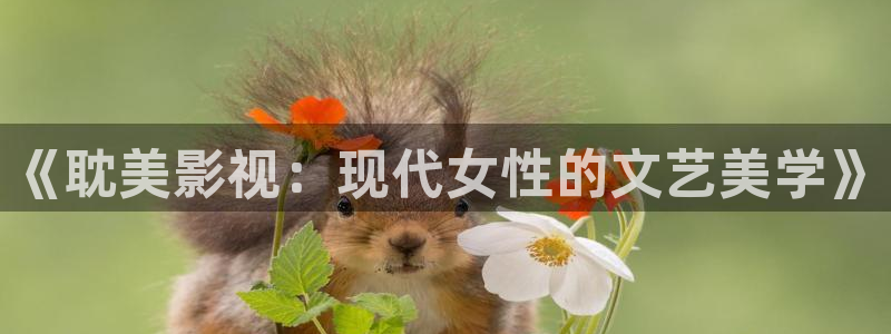 五五影视：《耽美影视：现代女性的文艺美学》